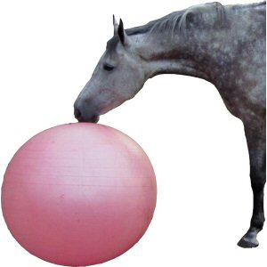 QHP Paardenvoetbal