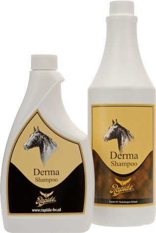 Rapide Derma Shampoo Kleurloos Inhoud 500 ml nodig? - ruitershopbeerens.nl