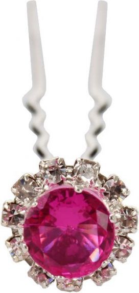 Horka Haarpin Crystal Hot Pink 1 maat nodig? - ruitershopbeerens.nl