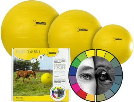 De Maximus Power Play Ball is de ultieme speelbal voor ponies en Geel 75 cm nodig? - ruitershopbeerens.nl