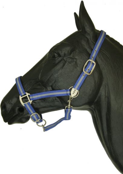 QHP Halster Blauw/Grijs Pony nodig? - ruitershopbeerens.nl